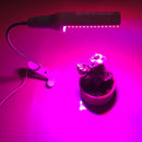 5W Adjustable Dual Head LED Grow Light Plant Grow Lamp For Plants EU Plug