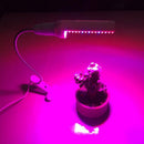 5W Adjustable Dual Head LED Grow Light Plant Grow Lamp For Plants EU Plug