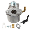 Carburetor Carb Kit for Briggs & Stratton 791077, 696981, 698860, 790182, 694508