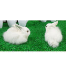 Small Resin Rabbits Garden Ornaments Statues Gifts Home Decor 14x21cm