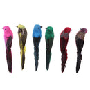 Artificial Tropical Feather Bird Clip with Long Tail Christmas Craft Decor