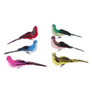 Artificial Tropical Feather Bird Clip with Long Tail Christmas Craft Decor