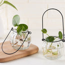 Hanging Hydroponic Plants Pumpkin Shape Glass Vase Nursery Pot Home Garden Terrarium Decor