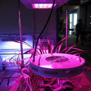 100W high power LED lamp bead