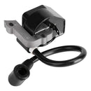 Ignition Coil & Spark Plug For STIHL FS55 FS55C FS46 FC55 FS38 Trimmers