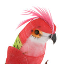 12pcs/Set Parrot Bird Artificial Feathered Animal Ornament Garden Decoration