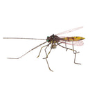 Fly Fishing Flies Dry Flies Artificial Bait Lure Mosquito/ Halloween Decor