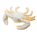 Fake Model Dispaly Artificial Marine Animals Decoration Orange Crab