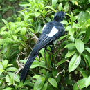 Artificial Birds Plastic Statue Figurine Model Home Garden Decor Ornament Magpie Shaped Cute Statue