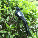 Artificial Birds Plastic Statue Figurine Model Home Garden Decor Ornament Magpie Shaped Cute Statue