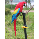 Feather Parrot Animal Kid Toy Bird Lawn Figurine Ornament Home Garden Decoration, Outdoor Statues