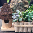 Cute Succulent Plants Pot Cactus Plant Pot Flower Pot Container Planter Bonsai Pots with Bird Houses