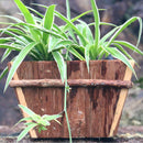 Wooden Garden Planters Indoor Outdoor Plants Flowers Pot Square Display