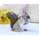 Lifelike Feathered Squirrels Home Adornment Decoration Handmade Crafts Simulation Animals Model Toy Teaching Props