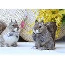 Lifelike Feathered Squirrels Home Adornment Decoration Handmade Crafts Simulation Animals Model Toy Teaching Props