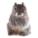 Lifelike Feathered Squirrels Home Adornment Decoration Handmade Crafts Simulation Animals Model Toy Teaching Props