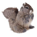 Lifelike Feathered Squirrels Home Adornment Decoration Handmade Crafts Simulation Animals Model Toy Teaching Props