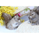 Lifelike Feathered Squirrels Home Adornment Decoration Handmade Crafts Simulation Animals Model Toy Teaching Props