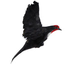 Simulated Lifelike Black Feathered Bird Swallow Pendulum Home Decor Ornament