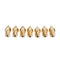 2Pcs 1.75mm 0.2mm~1.0mm Brass Nozzle+10Pcs 0.4mm Brass Nozzle With Lettering+30MM M6 Throat Kit Boxed for 3D Printer Reprap