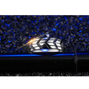 Domineering Creative Car Tire Printing Ring