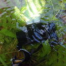 XANES D25 1650LM 2 x XPL LED 6 Modes Stepless Dimming USB Interface IPX6 Waterproof Headlamp