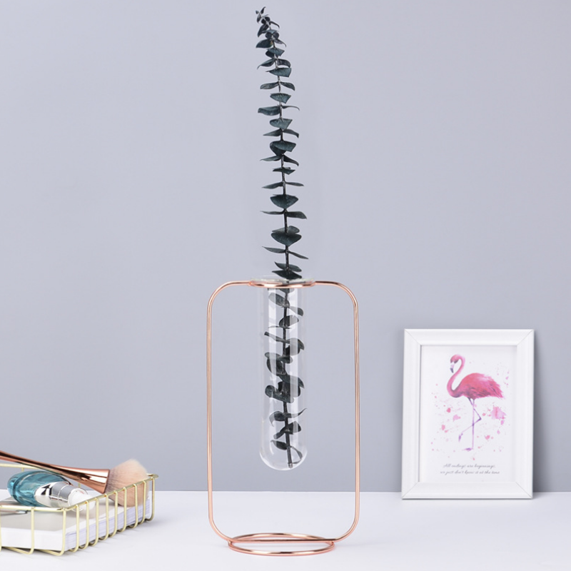 Hydroponic Plants Flower Wrought Iron Vase Decoration Transparent Glass Test Tube Hydroponic Dried Flower Stand