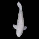 5PCS/SET Plastic Model Beach Scene Garden Landscape DIY Decor Pretend Play Fun Props Kids Children Toy Gift Dolphins