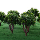 Pack of 10 Pieces Model Trees Layout Scenery Diorama Wargame 1:150 N Scale