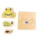 The Growth Process of Frog Jigsaw Puzzles Matching Toy for Kids Montessori Early Developing Toy