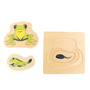 The Growth Process of Frog Jigsaw Puzzles Matching Toy for Kids Montessori Early Developing Toy