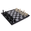 Professional Magnetic HIPS Board Chess Checkers Backgammon 3 In 1 Set 24.6x12.3cm Classic Toy Home Leisure Board Game
