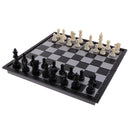 Professional Magnetic HIPS Board Chess Checkers Backgammon 3 In 1 Set 24.6x12.3cm Classic Toy Home Leisure Board Game