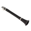 Excellent Metal Clarinet Advanced Sound Material & Techniques with Accessory
