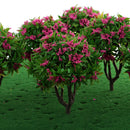 6 Pieces 1:100 HO Scale 10cm/3.39'' Model Green Trees with Rose Red Flower Layout Train Landscape Building Park Garden Forest Scenery DIY