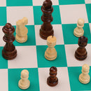 Portable Chess with Roll up Chessboard for Travel Camp Toys 13.77 x 3.14inch Small
