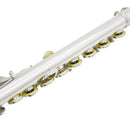 Silver 16-hole C key Flute with Split E Mechanism Orchestra Instrument