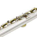 Silver 16-hole C key Flute with Split E Mechanism Orchestra Instrument