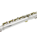 Silver 16-hole C key Flute with Split E Mechanism Orchestra Instrument