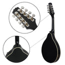 IRIN 8 String Mandolin with Gig Bag Strings Cleaning Cloth for Beginner Music Lover