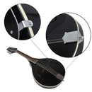 IRIN 8 String Mandolin with Gig Bag Strings Cleaning Cloth for Beginner Music Lover