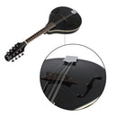 IRIN 8 String Mandolin with Gig Bag Strings Cleaning Cloth for Beginner Music Lover