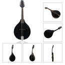 IRIN 8 String Mandolin with Gig Bag Strings Cleaning Cloth for Beginner Music Lover