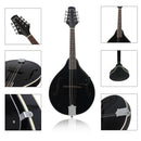 IRIN 8 String Mandolin with Gig Bag Strings Cleaning Cloth for Beginner Music Lover