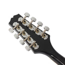 IRIN 8 String Mandolin with Gig Bag Strings Cleaning Cloth for Beginner Music Lover
