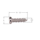 Durable Tuning Peg Mounting Screws for Electric/Acoustic Guitar Golden Musical Instrument Parts 50pcs/Pack