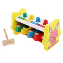 Montessori Knocking Pounding Toy for Kids Eye Hand Coordination Learning Toy