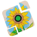 Montessori Materials The Evolution Process of Sunflower for Kids Early Learn