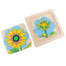 Montessori Materials The Evolution Process of Sunflower for Kids Early Learn