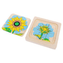 Montessori Materials The Evolution Process of Sunflower for Kids Early Learn